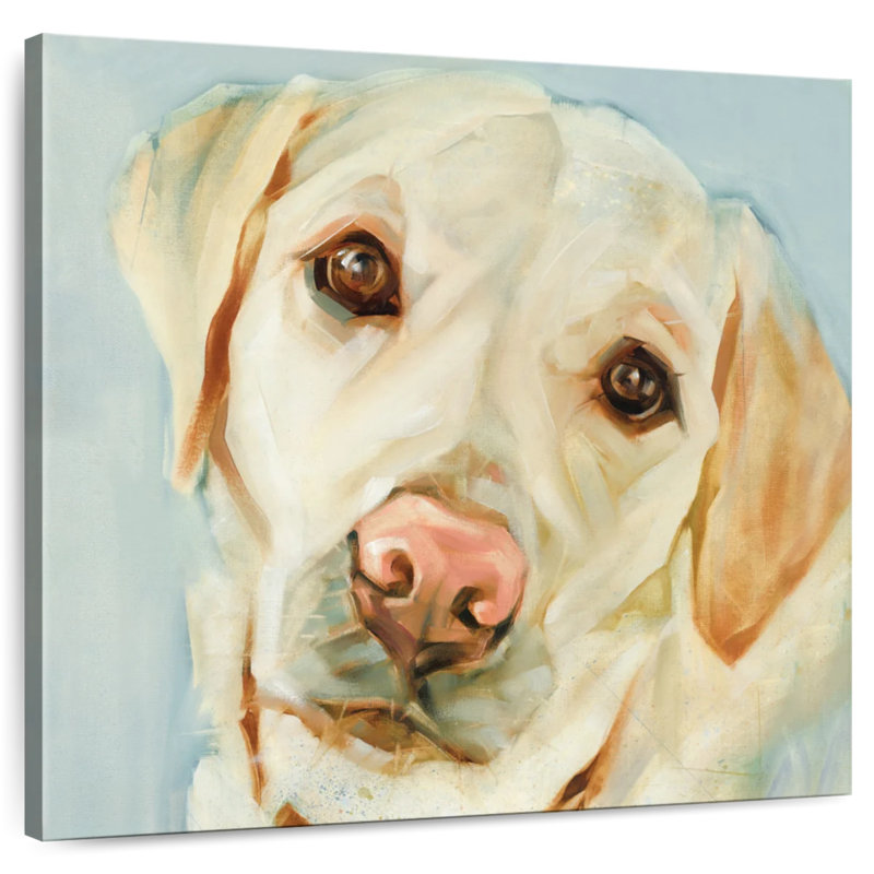 Crowle Retriever Stare