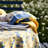 Durkee Tablecloth-95978225-95978222