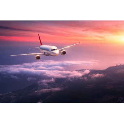Adesola " Passenger Airplane " by Den-Belitsky