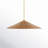 Lilliana 1-Light Dimmable Height Adjustable Pendant-1802870534-1802870537