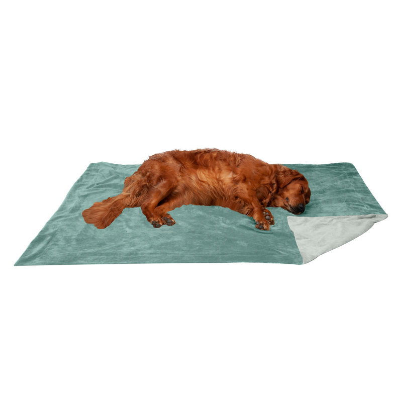 Waterproof Faux Velvet Throw Blanket, Celadon Green, 60" x 50"