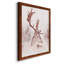 Cerf Michelson-88381532-88381535