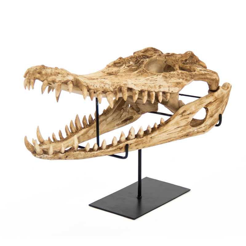 Alligator Skull Handmade Resin Wall Decor