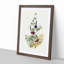 Beautiful Wrens by Elizabeth Gould - Single Picture Frame Painting-55543947-55543949