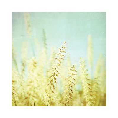 Sway by Lupen Grainne - Wrapped Canvas Gallery-Wrapped Canvas Giclée