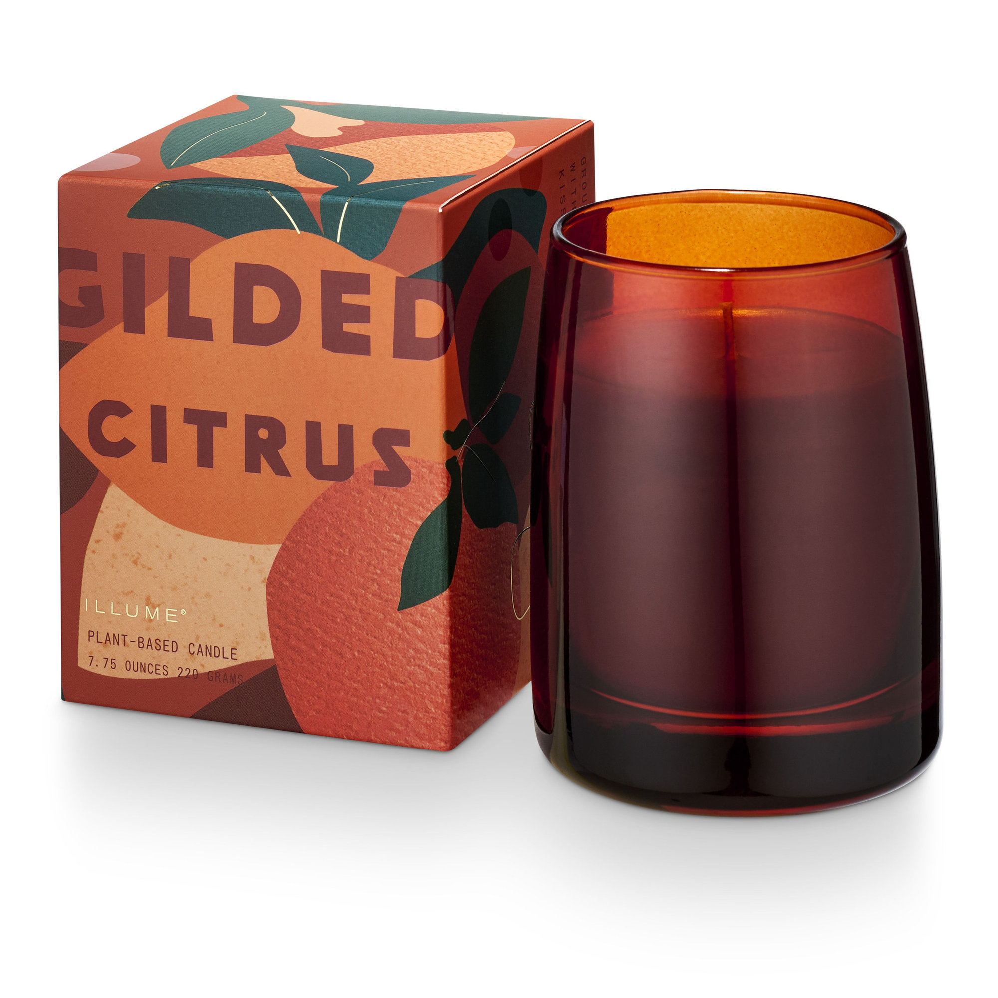Holiday Glace Gilded Citrus Boxed Glass Candle