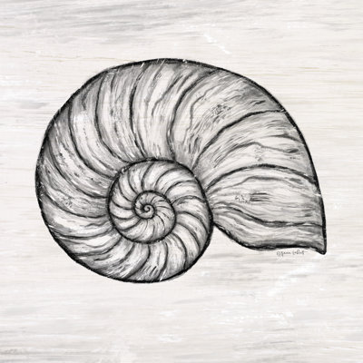 " Nautilus Shell " by Annie LaPoint