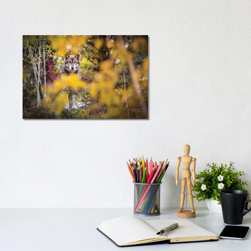 Timber Wolf Portrait by Nik Rave - Wrapped Canvas Gallery-Wrapped Canvas Giclée, 20.32 cm H x 30.48 cm W