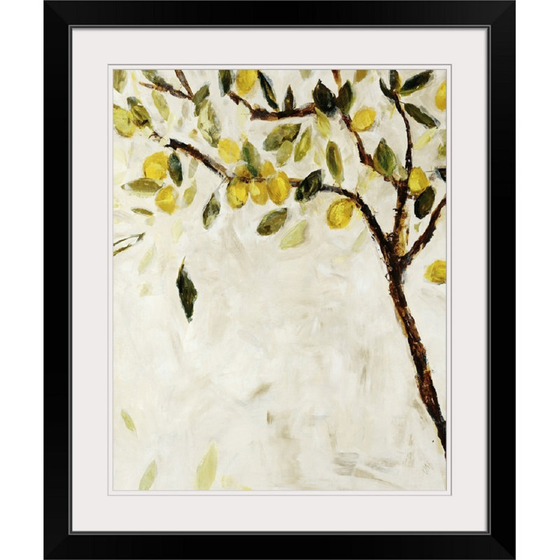 " Meyer Lemon Tree " by Jodi Maas, Black Framed, 38" H x 32" W x 1" D