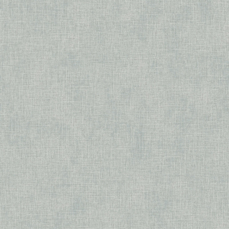 Rouleau de papier peint L 33 pi x l 20,9 po Dasharia, Gris clair