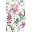 Graham & Brown Botanists Scroll Mauve Wallpaper