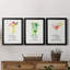 " Cosmopolitan " 3 - Pieces-1329391909-1329391908