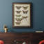 Histoire Naturelle Butterflies III - Cadre photo, art textuel sur toile-1991265364