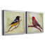 Backyard Birds I - Ensemble de 2 cadres photo sur toile-665859511-665859515