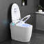 Toilettes intelligentes allongées conformes aux normes ADA, double chasse d'eau 1,1/1,6 GPF, siège chauffant, commande au pied/sans siège/chasse d'eau occultante, veilleuse, fermeture en douceur