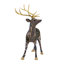 Cerf debout