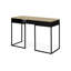 Aminatou Steel Writing Desk-1864183224