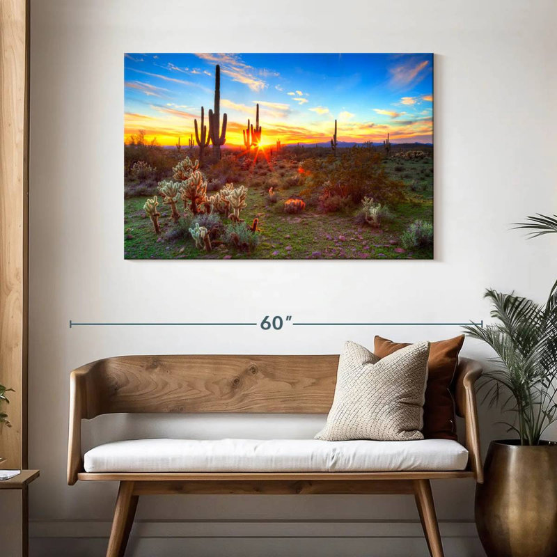 Harnek, désert, cactus, rayon de soleil, H 30 po x l 45 po