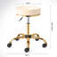 Adjustable Height Ergonomic Lab Stool with Footrest-115153806