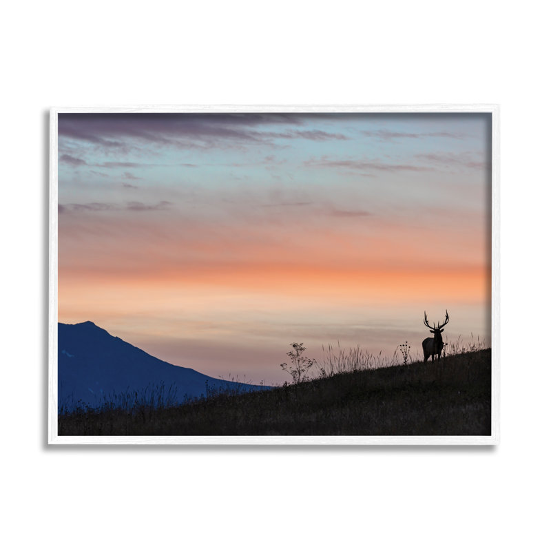 Mountain Elk Sunset Silhouette Blush Orange Skyline par - impression, Giclée encadrée blanc bord de mer