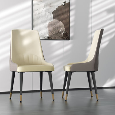 Jex Leather Solid Back Dining Chairs (Set of 2)