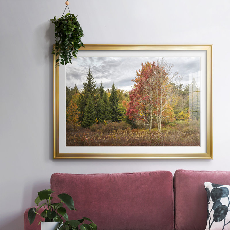 Woodland Variété, impression sur papier encadrée, Or, H 19 po x l 27 po x P 1,5 po