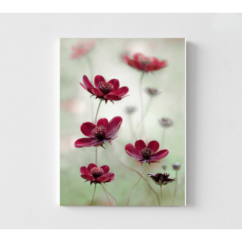 Cosmos Sway, art mural: aquarelle botanique - encadré ou non, 6" H x 4" W, Frameless Print, Does Not Apply