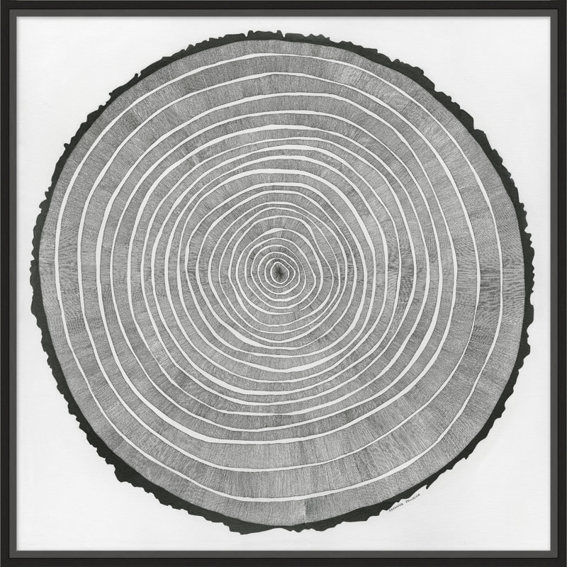 Time Lines 2 - Cadre photo sur papier