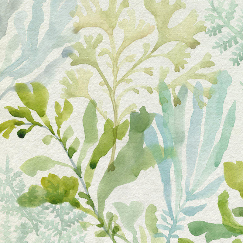 Seaweed Scramble I par Victoria Barnes, H 30 po x l 30 po