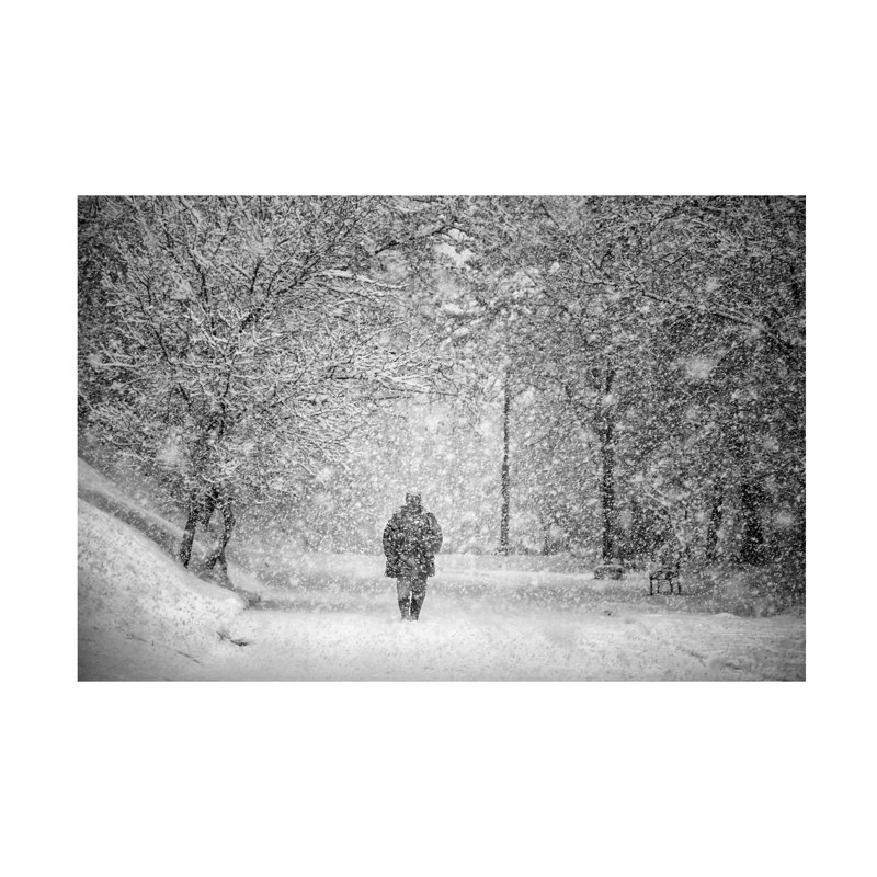 «Stanislav Hricko Snow Street Storm», art sur toile, H 22 po x l 32 po