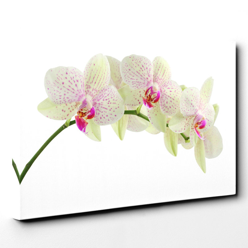 Wrapped Canvas Print, 40cm H x 60cm W