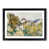 Black Framed selected