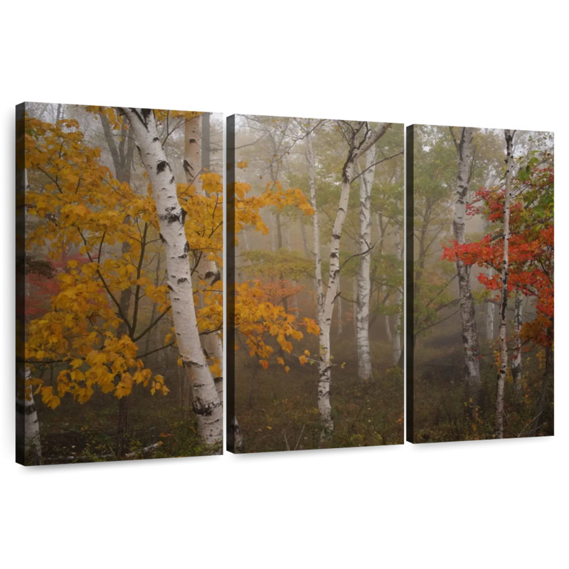 Alvord Autumn Birch Forest, 24" H x 38" W