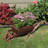 35" x 10.25" x 11" Brown Wooden Wheelbarrow Outdoor Planter