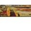 Runner Corwin Area Rug-35269813