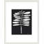 Flora 5 Print by Lee Lessem-404953993-404953997