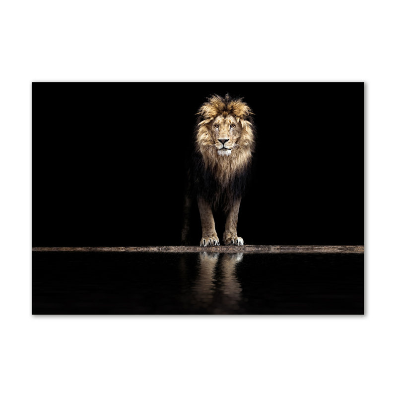 Portrait Of A Lion - No Frame Print on Canvas