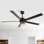 65" Rivenbark 5 - Blade Caged Ceiling Fan with LED Lights and Remote Control
