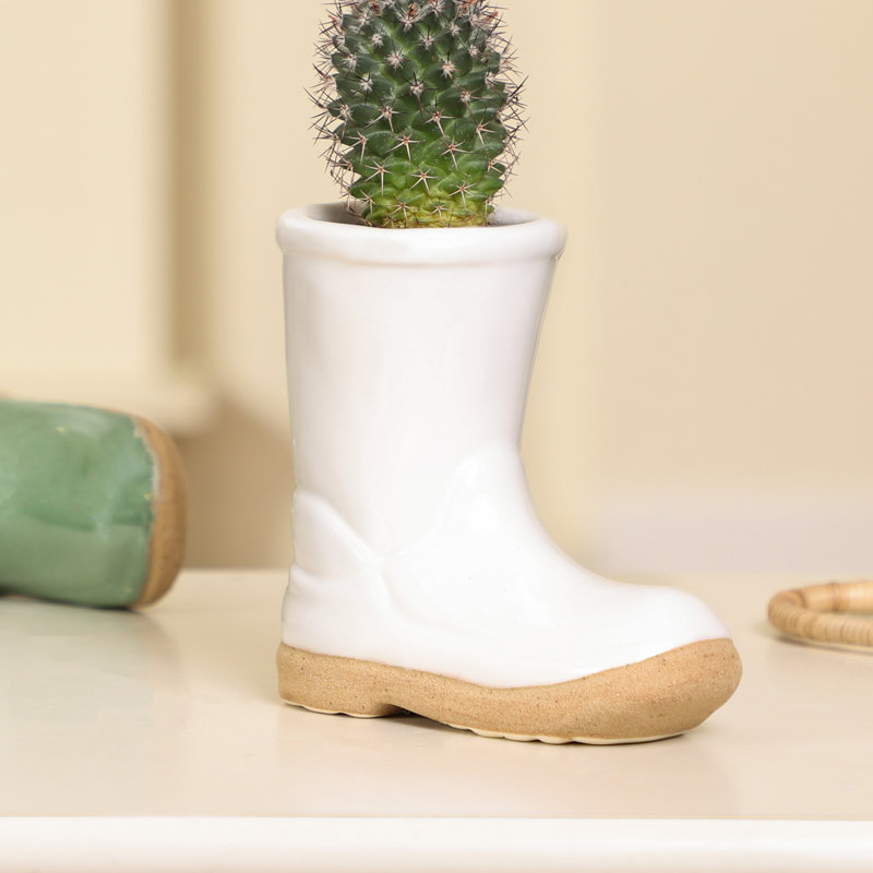 Carlson Ceramic Pot Planter, White