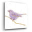 Art mural en verre «Gilded Bird 1 Lavender» par Shirley Novak-1252252981