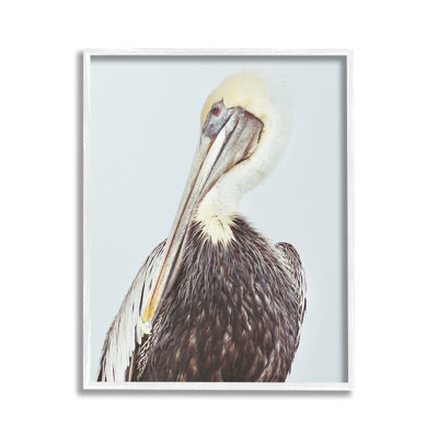 Bc-381_FG " Preening Pelican Photography " by Gail Peck