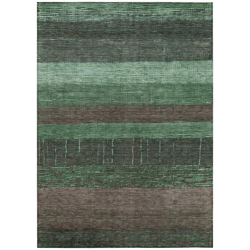 Tapis vert intérieur / extérieur lavable à la machine Cinead ACN1569, Rectangulaire 3 pi x 5 pi