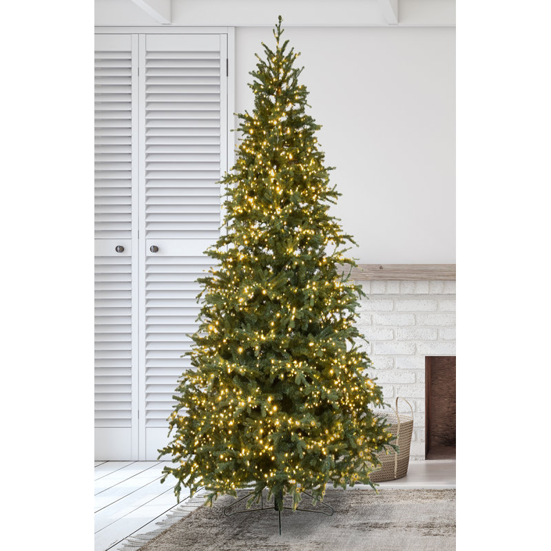 Carolina Fraser Artificial Christmas Tree Clear Lights, 12'
