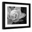 Arriya «Lily Close-Up I», impression encadrée