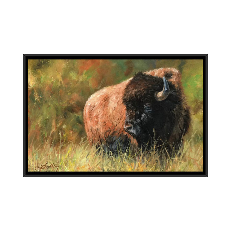 « bison i », impression sur toile, H 18 po x l 26 po x P 1,5 po, Toile avec cadre noir, Pas de tapis