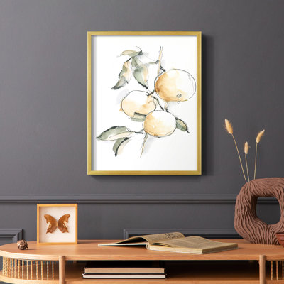 Watercolor Fruit Contour II  Framed Print - Solid Wood