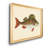 " Donovan Antique Fish I "-2009192444-2009192434