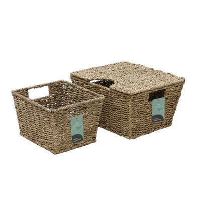 World Menagerie Box