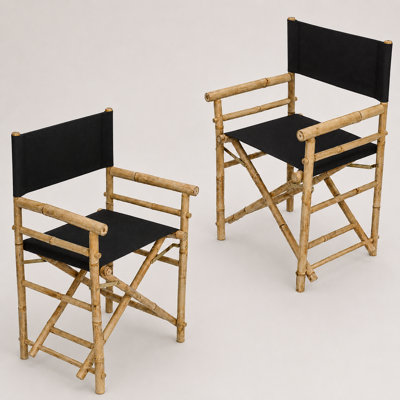 Laseter Folding Director Chair