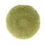 DEON POUF